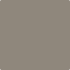 Benjamin Moore's paint color 2111-40 Taos Taupe from Cincinnati Color Company.