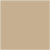 Benjamin Moore's paint color HC-44 Lenox Tan from Cincinnati Color Company.