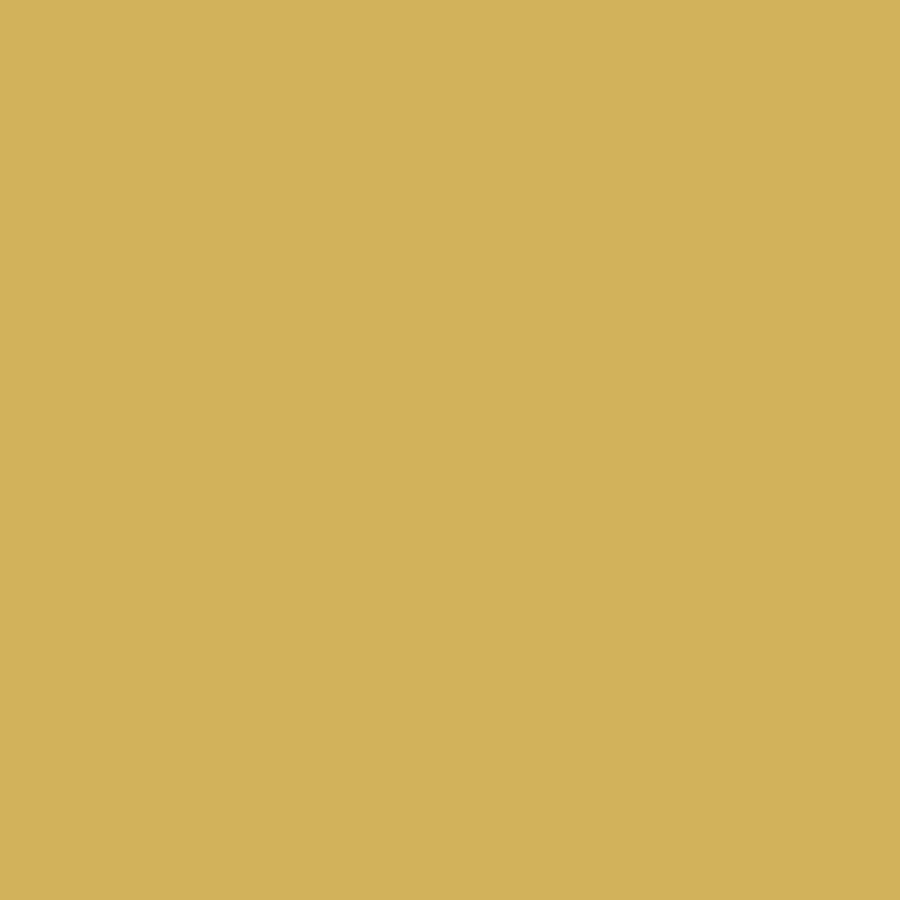 Sudbury Yellow Farrow & Ball, available at Southwestern Paint in Houston, TX.