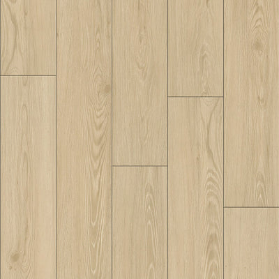 Shaw Pathways 7" x 48" Glue Down LVT