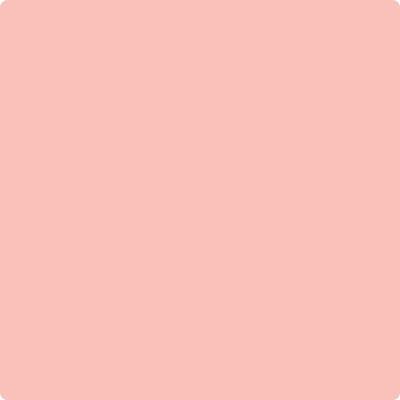 1276 Petunia Pink - Paint Color
