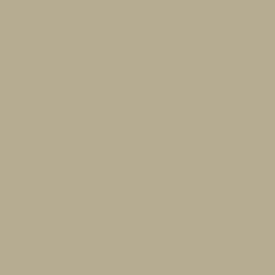 0345 Travertine Path paint color from the ColorIS collection. Available in your choice of California Paint or Town & Country products at Cincinnati Color in Ohio.
