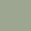 0435 Big Fish paint color from the ColorIS collection. Available in your choice of California Paint or Town & Country products at Cincinnati Color in Ohio.