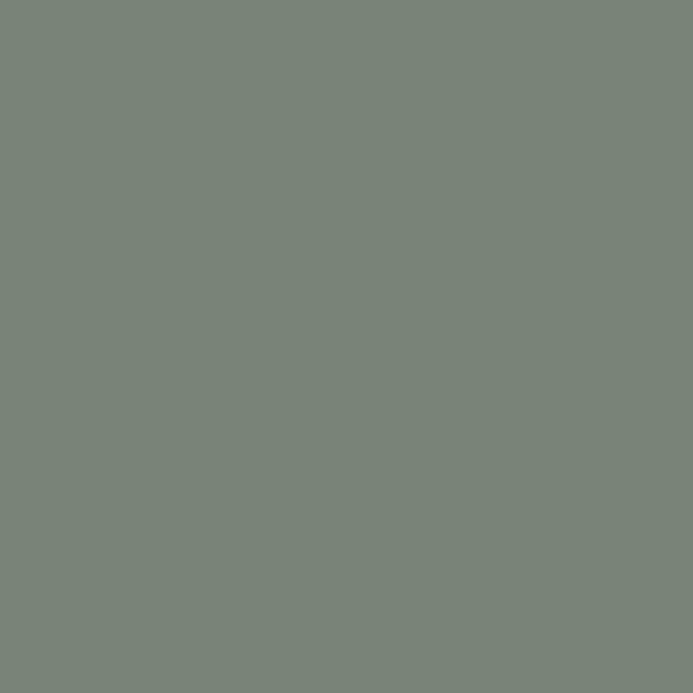 0458 Marlarca paint color from the ColorIS collection. Available in your choice of California Paint or Town & Country products at Cincinnati Color in Ohio.