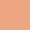 Benjamin Moore's paint color 068 Succulent Peach from Cincinnati Color Company.