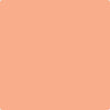 Benjamin Moore's paint color 081 Intense Peach from Cincinnati Color Company.