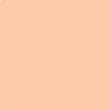 Benjamin Moore's paint color 088 Summer Peach from Cincinnati Color Company.