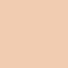 1007 Pastel Peach paint color from the ColorIS collection. Available in your choice of California Paint or Town & Country products at Cincinnati Color in Ohio.