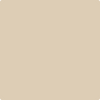 Benjamin Moore's paint color 1038 Everlasting from Cincinnati Color Company.
