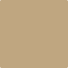 Benjamin Moore's paint color 1040 Spice Gold from Cincinnati Color Company.