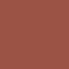 1040 Dark Marmalade paint color from the ColorIS collection. Available in your choice of California Paint or Town & Country products at Cincinnati Color in Ohio.