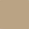 Benjamin Moore's paint color 1054 Sherwood Tan from Cincinnati Color Company.