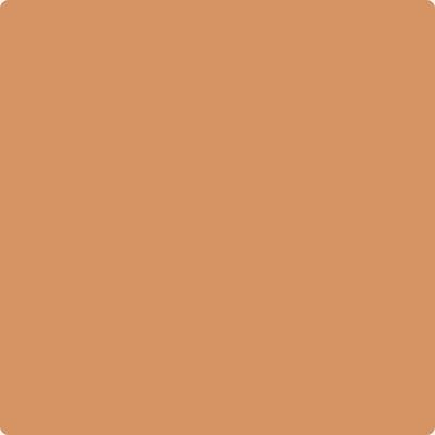 Benjamin Moore's paint color 111 Rio Rancho Clay from Cincinnati Color Company.