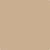 Benjamin Moore's paint color 1123 Palm Desert Sand from Cincinnati Color Company.