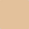 Benjamin Moore's paint color 1144 Tucson Tan from Cincinnati Color Company.
