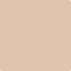 Benjamin Moore's paint color 1151 Shorewood from Cincinnati Color Company.