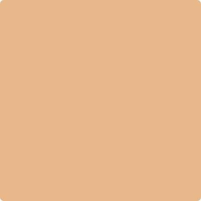 Benjamin Moore's paint color 117 Persian Melon from Cincinnati Color Company.