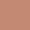 Benjamin Moore's paint color 1194 Mexican Tile from Cincinnati Color Company.