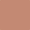 Benjamin Moore's paint color 1195 Patina from Cincinnati Color Company.