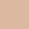 Benjamin Moore's paint color 1206 Outer Banks from Cincinnati Color Company.