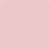 Benjamin Moore's paint color 1276 Petunia Pink from Cincinnati Color Company.