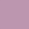 Benjamin Moore's paint color 1377 Caribbean Sunset from Cincinnati Color Company.