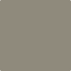 Benjamin Moore's paint color 1476 Squirrel Tail from Cincinnati Color Company.