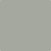 Benjamin Moore's paint color 1482 Sabre Gray from Cincinnati Color Company.