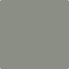 Benjamin Moore's paint color 1483 Cos Cob Stonewall from Cincinnati Color Company.