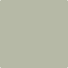 Benjamin Moore's paint color 1495 October Mist from Cincinnati Color Company.