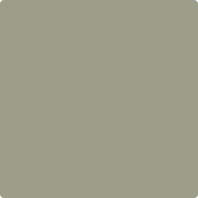 Benjamin Moore's paint color 1496 Raintree Green from Cincinnati Color Company.