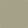 Benjamin Moore's paint color 1503 Texas Sage from Cincinnati Color Company.