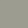 Benjamin Moore's paint color 1559 Arctic Shadow from Cincinnati Color Company.