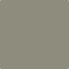 Benjamin Moore's paint color 1560 Antique Pewter from Cincinnati Color Company.