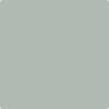 Benjamin Moore's paint color 1571 Imperial Gray from Cincinnati Color Company.