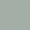 Benjamin Moore's paint color 1573 Castle Walls from Cincinnati Color Company.