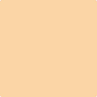 Benjamin Moore's paint color 158 Pineapple Orange from Cincinnati Color Company.