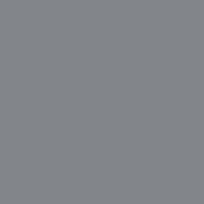 Gray tint outlet benjamin moore
