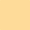 Benjamin Moore's paint color 171 Sweet Butter from Cincinnati Color Company.