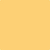 Benjamin Moore's paint color 172 Sunny Days from Cincinnati Color Company.