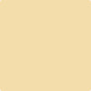 Benjamin Moore's paint color 178 Golden Lab from Cincinnati Color Company.