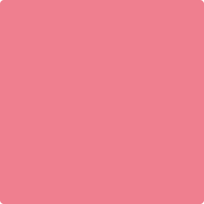 Benjamin Moore's paint color 2003-40 True Pink from Cincinnati Color Company.