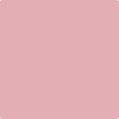 Benjamin Moore's paint color 2005-50 Pink Eraser from Cincinnati Color Company.