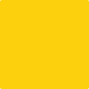 Benjamin Moore's paint color 2021-30 Sunshine from Cincinnati Color Company.