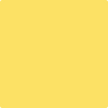 Benjamin Moore's paint color 2021-40 Yellow Highlighter from Cincinnati Color Company.