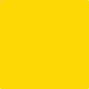 Benjamin Moore's paint color 2022-20 Sun Kissed Yellow from Cincinnati Color Company.