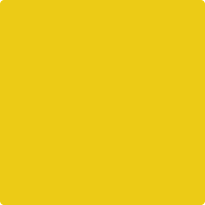 Benjamin Moore's paint color 2023-10 Yolk from Cincinnati Color Company.