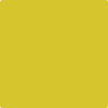 Benjamin Moore's paint color 2024-30 Citron from Cincinnati Color Company.