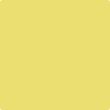 Benjamin Moore's paint color 2024-40 Yellow Finch from Cincinnati Color Company.
