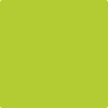 Benjamin Moore's paint color 2025-10 Bright Lime from Cincinnati Color Company.
